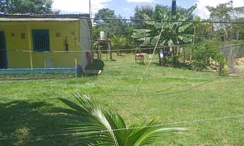 Imagem 2: Vendo este sítio fica no paricatuba o valor 100.000