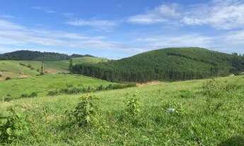 Imagem 3: Terrenos demarcados com negociação facilitada!!