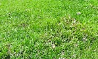 Imagem: LL- Vende-se terreno para veraneio