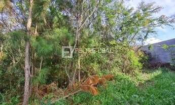 Imagem 7: Lote / Terreno em Pinheira - Palhoça