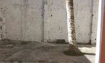 Imagem 4: Casa de aluguel Casa com 2 dormitórios