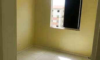 Imagem 3: Alugo um ótimo apartamento padrão no Angelim