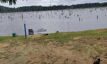 Imagem 3: Sítio na comunidade boa União depois de presidente Figueiredo