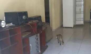 Imagem 6: Casas pra vender