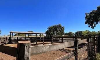 Imagem 5: Sítio 64 hectares na região de Rosário Oeste MT