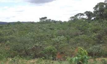 Imagem 4: A 2km do centro, terreno 5ha São Jose do Almeida