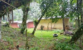 Imagem 5: 2 hectares 247 mil reais aberto negociaçao