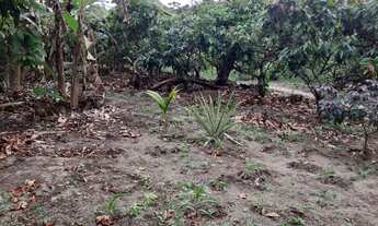 Imagem 11: Sítio à 9km de Laje/Ba