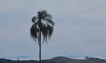 Imagem 6: Terreno com Excelente Perspectiva de Valorização