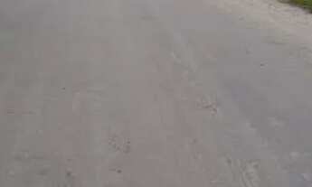 Imagem 2: Vende-se casa no Balneário Solymar em Matinhos