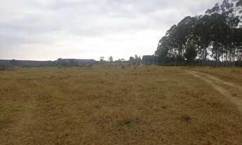 Imagem 6: Sítio bom para café ,abacate ,grãos