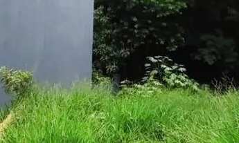 Imagem 4: Excelente terreno A venda !!! Residencial Villa Verde !!!