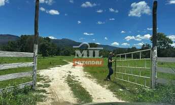 Imagem 6: Fazenda 363 alqueires ( 1.760 hectares ) Colinas do Sul-GO