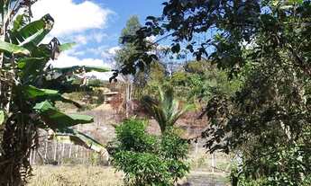 Imagem 6: Chácara a venda Caputira-MG