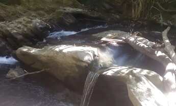 Imagem 3: Chácara em Cocalzinho GO