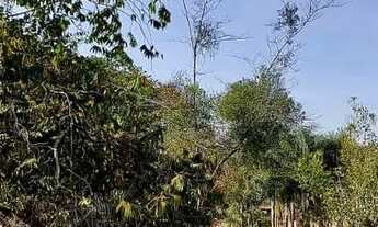 Imagem 3: Casa de condomínio para aluguel tem 175 metros quadrados com 3 quartos