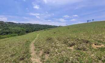 Imagem 6: Fazenda de 277 hectares