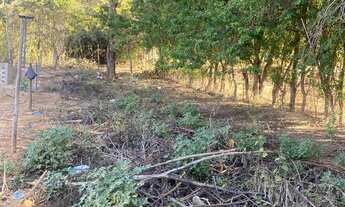 Imagem 4: Terreno ótima localização a 7 minutos das esplanadas ao lado no a Alto MangueiraL