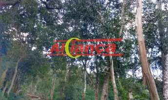 Imagem 4: TERRENO, LOTE COMERCIAL E RESIDENCIAL À VENDA, 1000M², RECREIO SÃO JORGE- GUARULHOS.GRU/SP