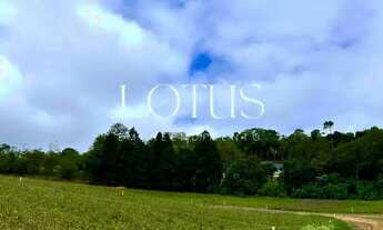 Imagem 2: 86c- TERRENOS PLANOS EM COTIA COM ACESSO RÁPIDO