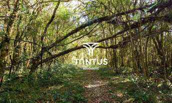 Imagem 5: Chácara à venda, 97074 m² por R$ 1.750.000,00 - Weissópolis - Pinhais/PR