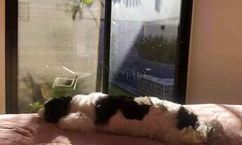 Imagem 7: Casa à venda em Indaiatuba, Jardim Residencial Dona Maria José, com 3 suítes, com 195 m²