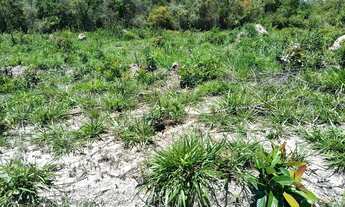 Imagem 4: Ótima chácara Chácara com venda por R$70.000