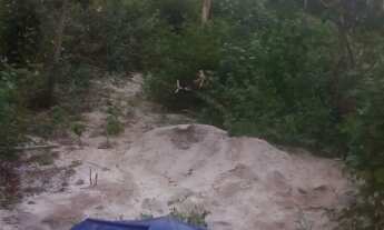 Imagem 4: Tarefa de terra Chácara com venda por R$20.000