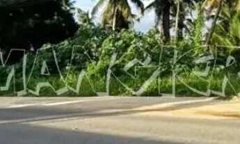 Imagem 5: Terreno de 6.000m² para alugar na Barra dos Coqueiros, Sergipe