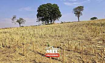 Imagem: Chácara bem localizada e com grande potencial