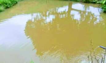 Imagem 3: Linda fazenda com 200 mil metros com nascente poço de peixe leia o anuncio