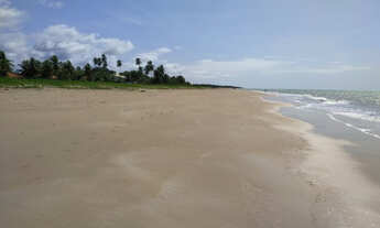 Imagem: Casa em São Miguel dos Milagres Temporada