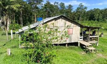Imagem 12: Fazenda a 25 km de Feijo