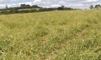 Imagem 4: Terreno com 411.000 e 920.000 Castelo Branco