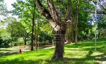 Imagem 3: Porto Alegre - Apartamento Padrão - Auxiliadora