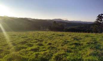 Imagem 3: C03-Lote/Terreno para venda possui 20000 metros quadrados