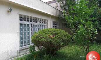 Imagem 2: São Paulo - Casa Padrão - Santo Amaro