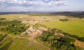 Imagem 4: Fazenda a venda Porteira Fechada, Goiatins - TO