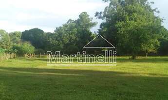 Imagem 4: Ribeirão Preto - Chácara - Piripau