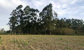 Imagem 2: 6,5 Hectares em Maracajá / SC