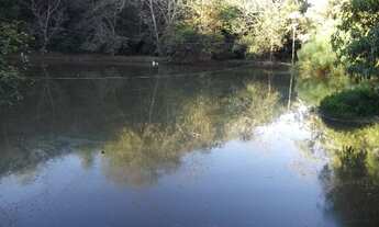 Imagem 5: Fazendinha 16ha, 2criatorios de peixes, casa, área de lazer, Baldim Temos varias opções)