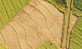 Imagem 4: Sitio 6.78 Alqueires Terra roxa ,sem benfeiturias ,somente área de plantil, topografia pla