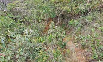 Imagem 5: Área Terreno Chácara Sítio Lote Fazendinha 8 Hectares, ITATIAIUÇU MG