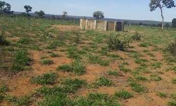 Imagem 5: Fazenda Ribas divisa com Suzano