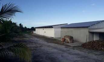 Imagem 3: Fazenda 45 hectares em Conde