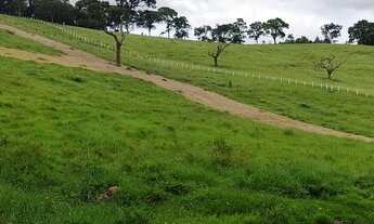 Imagem 3: Investimento certo aqui