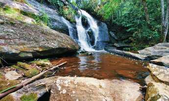 Imagem 7: 03t-Oferta especial em lotes para você¬