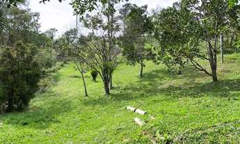 Imagem 5: Lindo terreno com 900m2 no morro da Silveira com bela vista do mar
