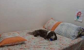 Imagem 5: Varanda, Área de serviço