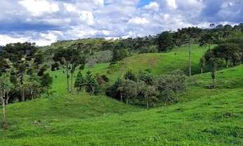 Imagem 3: Imóvel Rural/Terreno em Urubici